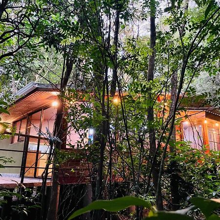 Cabanas La Montana Mountain Lodge Монте-Верде Экстерьер фото