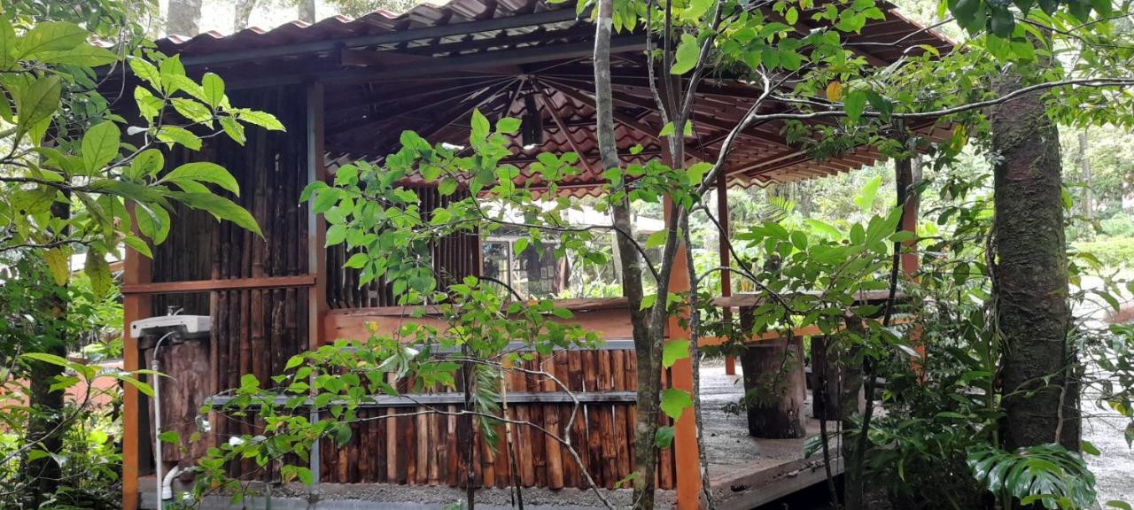 Cabanas La Montana Mountain Lodge Монте-Верде Экстерьер фото