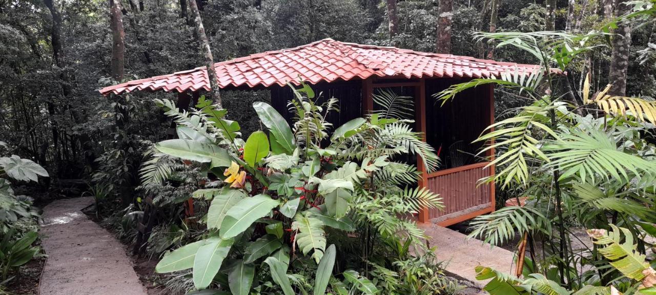 Cabanas La Montana Mountain Lodge Монте-Верде Экстерьер фото