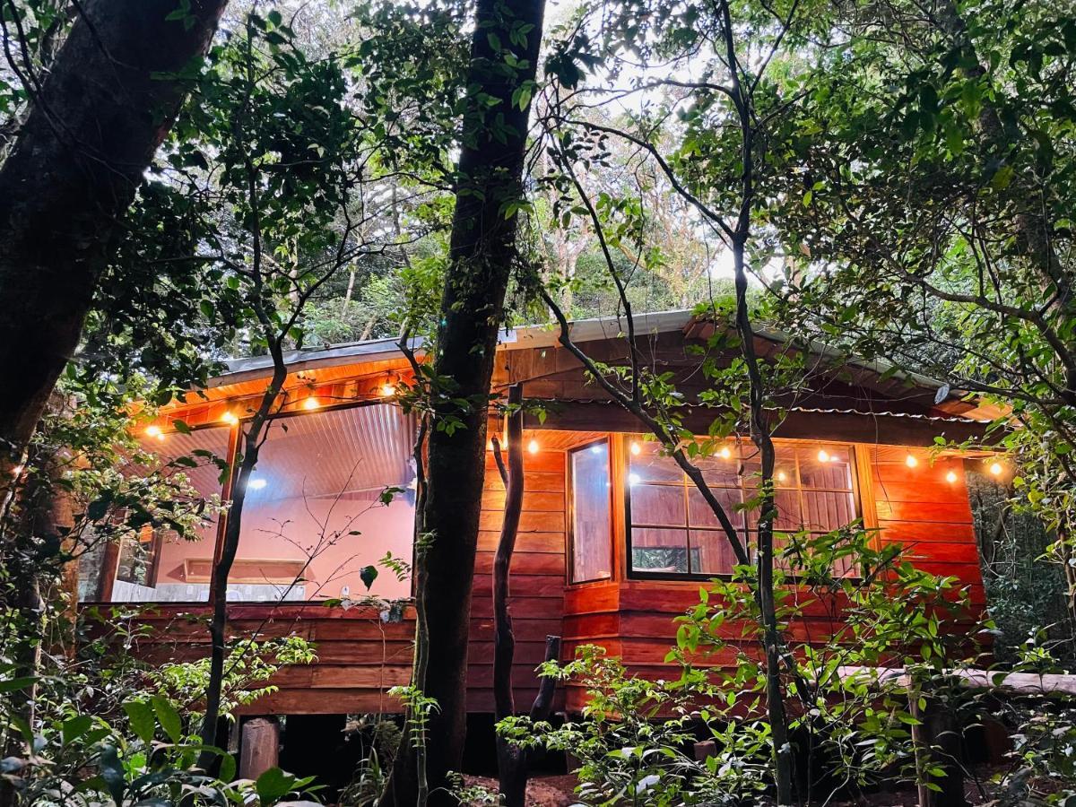 Cabanas La Montana Mountain Lodge Монте-Верде Экстерьер фото